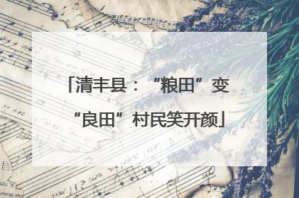 清丰县：“粮田”变“良田”村民笑开颜
