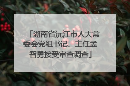 湖南省沅江市人大常委会党组书记、主任孟智勇接受审查调查