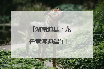 湖南道县：龙舟竞渡迎端午