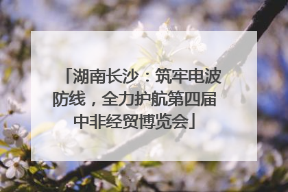 湖南长沙：筑牢电波防线，全力护航第四届中非经贸博览会