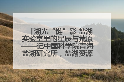 湖光“链”影 盐湖实验室里的星辰与荒原——记中国科学院青海盐湖研究所，盐湖资源化学实验室党总支书记、副主任刘忠