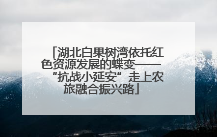 湖北白果树湾依托红色资源发展的蝶变——“抗战小延安”走上农旅融合振兴路