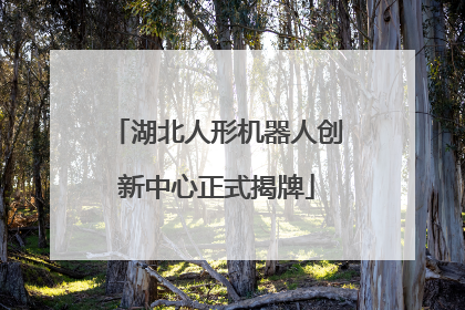 湖北人形机器人创新中心正式揭牌