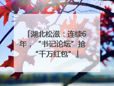 湖北松滋：连续6年，“书记论坛”抢“千万红包”