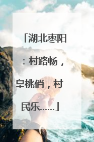 湖北枣阳：村路畅，皇桃俏，村民乐……