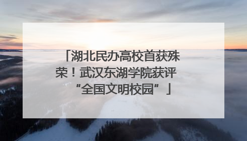 湖北民办高校首获殊荣！武汉东湖学院获评“全国文明校园”