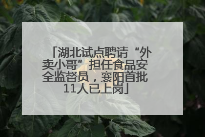 湖北试点聘请“外卖小哥”担任食品安全监督员，襄阳首批11人已上岗