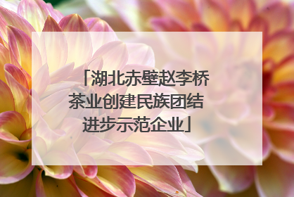 湖北赤壁赵李桥茶业创建民族团结进步示范企业