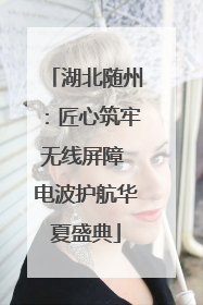 湖北随州：匠心筑牢无线屏障 电波护航华夏盛典