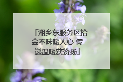 湘乡东服务区拾金不昧暖人心 传递温暖获赞扬