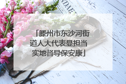 滕州市东沙河街道人大代表显担当实地督导保安康