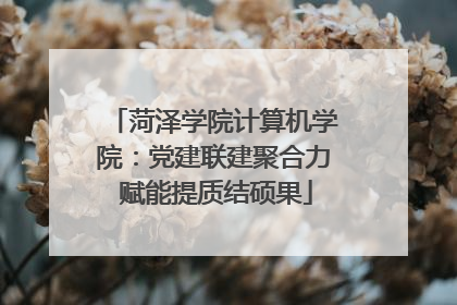 菏泽学院计算机学院：党建联建聚合力 赋能提质结硕果