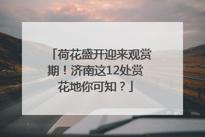 荷花盛开迎来观赏期！济南这12处赏花地你可知？