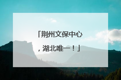 荆州文保中心，湖北唯一！