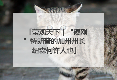 莹观天下｜“硬刚”特朗普的加州州长纽森何许人也