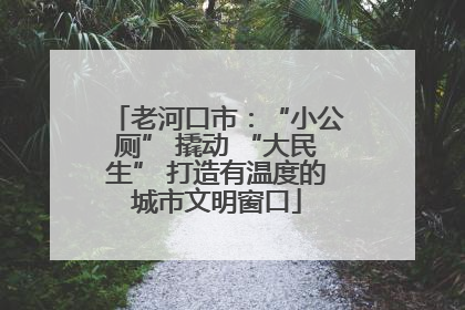 老河口市：“小公厕” 撬动 “大民生” 打造有温度的城市文明窗口