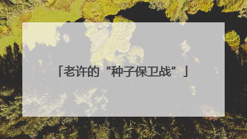 老许的“种子保卫战”