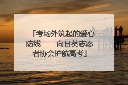 考场外筑起的爱心防线——向日葵志愿者协会护航高考