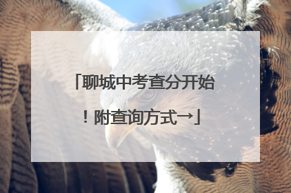 聊城中考查分开始！附查询方式→