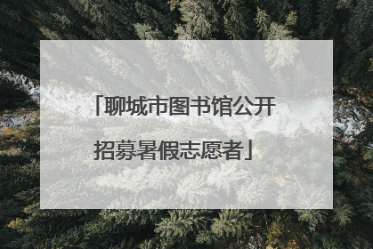 聊城市图书馆公开招募暑假志愿者