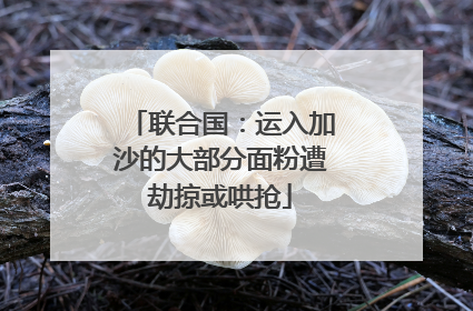 联合国：运入加沙的大部分面粉遭劫掠或哄抢
