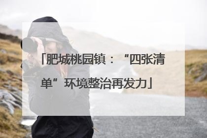肥城桃园镇：“四张清单”环境整治再发力