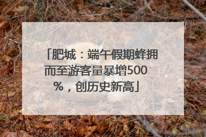 肥城：端午假期蜂拥而至游客量暴增500%，创历史新高