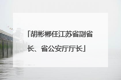胡彬郴任江苏省副省长、省公安厅厅长