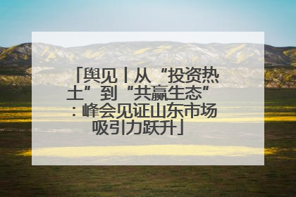 舆见丨从“投资热土”到“共赢生态”：峰会见证山东市场吸引力跃升