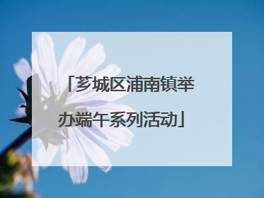芗城区浦南镇举办端午系列活动
