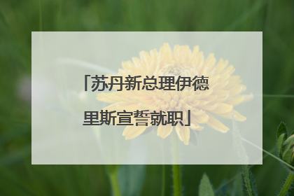 苏丹新总理伊德里斯宣誓就职