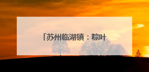 苏州临湖镇：粽叶飘香传文明 村村有“戏”树新风