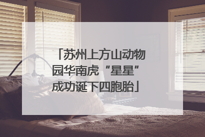 苏州上方山动物园华南虎“星星”成功诞下四胞胎