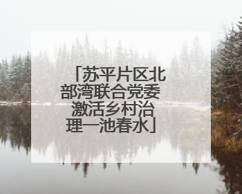 苏平片区北部湾联合党委 激活乡村治理一池春水