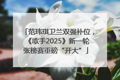 范玮琪卫兰双强补位，《歌手2025》新一轮张榜赛重磅“开大”