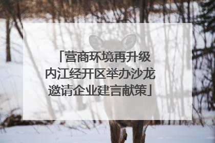 营商环境再升级 内江经开区举办沙龙邀请企业建言献策