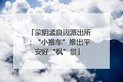 蒙阴孟良崮派出所：“小推车”推出平安好“枫”景