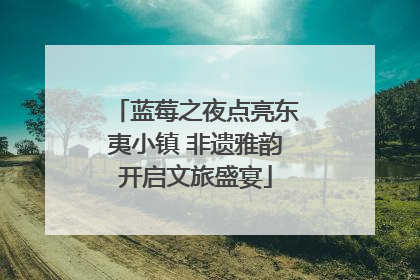 蓝莓之夜点亮东夷小镇 非遗雅韵开启文旅盛宴