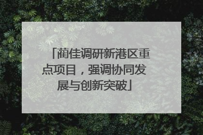 蔺佳调研新港区重点项目，强调协同发展与创新突破