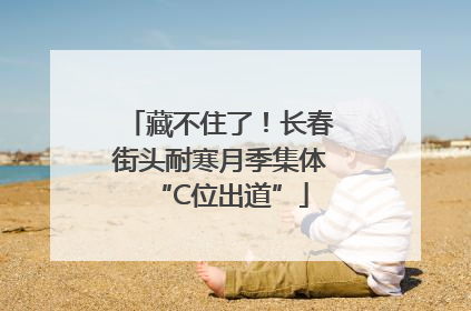 藏不住了！长春街头耐寒月季集体“C位出道”