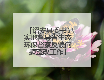 诏安县委书记实地督导省生态环保督察反馈问题整改工作