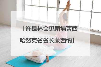 许昆林会见柬埔寨西哈努克省省长蒙西纳
