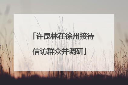 许昆林在徐州接待信访群众并调研