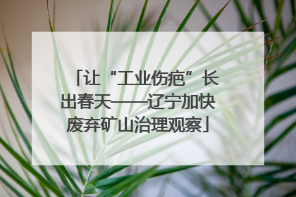 让“工业伤疤”长出春天——辽宁加快废弃矿山治理观察