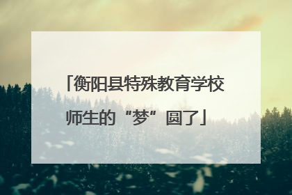 衡阳县特殊教育学校师生的“梦”圆了