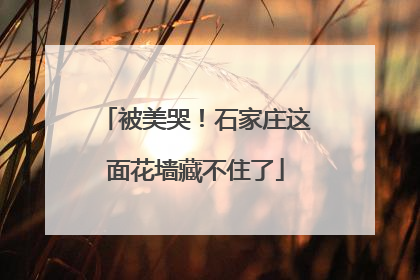 被美哭！石家庄这面花墙藏不住了