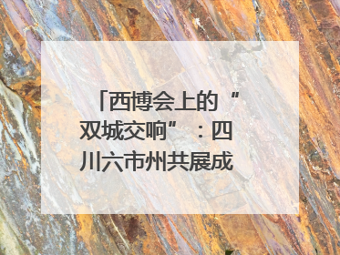 西博会上的“双城交响”：四川六市州共展成渝协同发展画卷｜西博视界