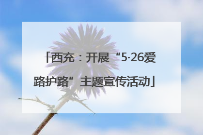 西充：开展“5·26爱路护路”主题宣传活动