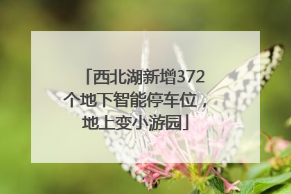 西北湖新增372个地下智能停车位，地上变小游园