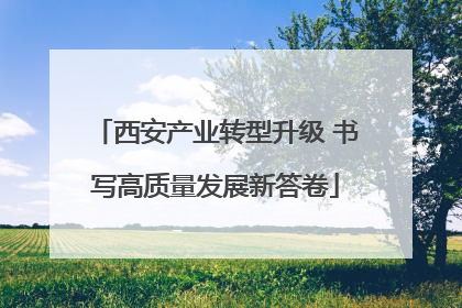 西安产业转型升级 书写高质量发展新答卷